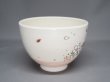 画像5: 茶碗　桜に文鳥絵